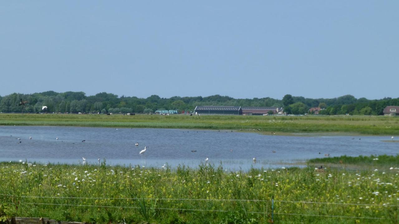 Vitamin Sea Heemskerk Eksteriør billede